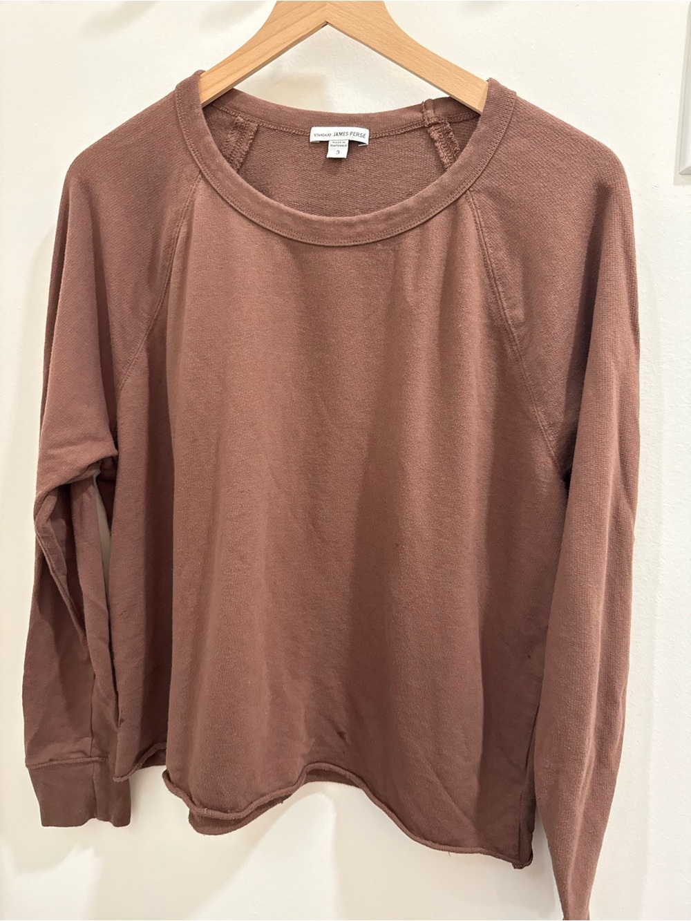 James Perse Crewneck Sweatshirt in Mauve Brown